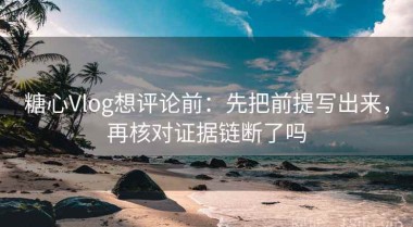 糖心Vlog想评论前：先把前提写出来，再核对证据链断了吗