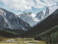 推特三步快走：看对象有没有换掉做把因果词换成中性词收尾像做阅读题